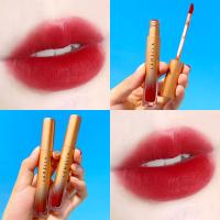 ลิปสติก สีสวย ติดทน ลิปสติกแท้แบรนด์ 6 สีLong-lasting beautiful lipstick, 6 genuine brand lipstick