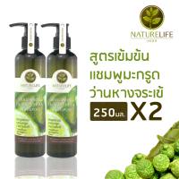 [แพ็คคู่สุดคุ้ม] แชมพูมะกรูดว่านหางจระเช้NatureLifeHerb Bergamot &amp; Aloe Vera Shampoo 250ml x2