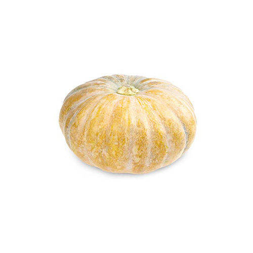Zagana Farm Fresh Vegetables Market Squash (Kalabasa) 1kg Lazada PH