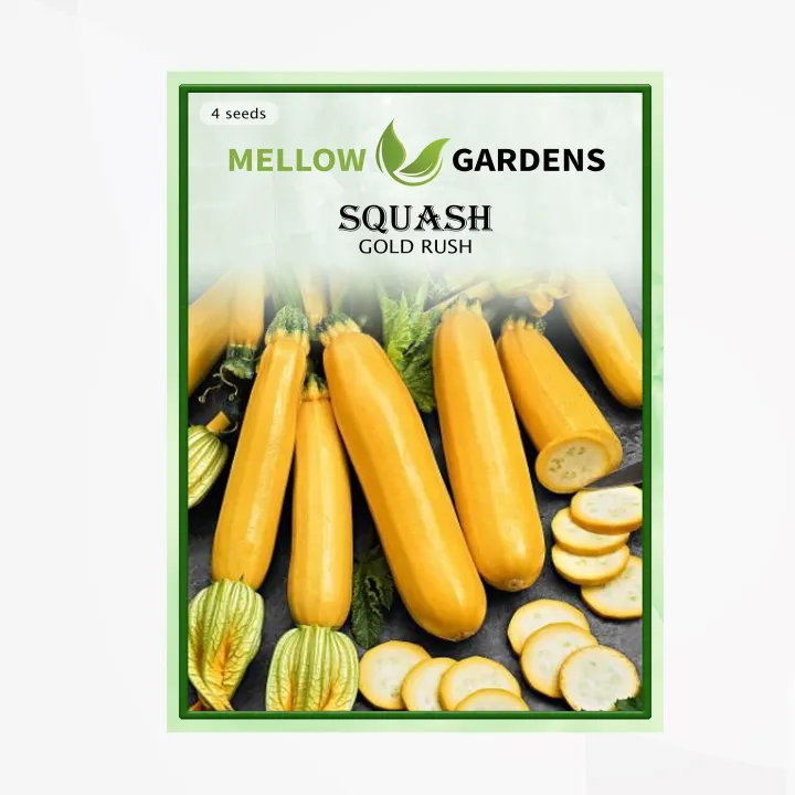 Gold Rush Squash Seeds Lazada PH