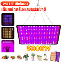 【5000W】(256led) กันน้ำ LED Full Spectrum Plant Light UV Grow Light Veg โคมไฟ 2M สายเหล็ก + การกระจายความร้อนขนาดใหญ่สำหรับเต็นท์เรือนกระจกในร่ม Hydroponic Plant 85-265V 295x295x30 มม.