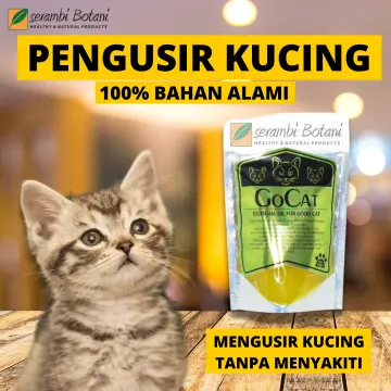 Go cat outlet 20kg