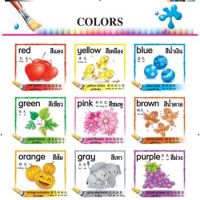 Kid Plus สื่อเสริมทักษะ โปสเตอร์ 3 ภาษา (ไทย-อังกฤษ-จีน) LOOK AND LEARN CHARTS - COLOURS