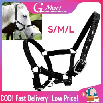 Horse accessories deals online