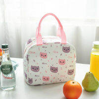 Picnic Handbag Cute Lunch Bag Ice Pack Portable Lunch Box Bags Cartoon Printed Kids Bento Bag Thermal Insulation