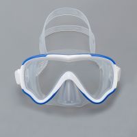 ：&amp;gt;?": Professional Kids Snorkel Swim  Child Diving  Anti-Fog Swimming  With Nose Cover For Snorkeling Swimming Training