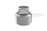 ปลั๊กอุดเกลียวนอกสแตนเลส ขนาด 1/8" - 1" หัวสี่เหลี่ยม รุ่นงาน Stainless Steel Square Head Plug Bolt