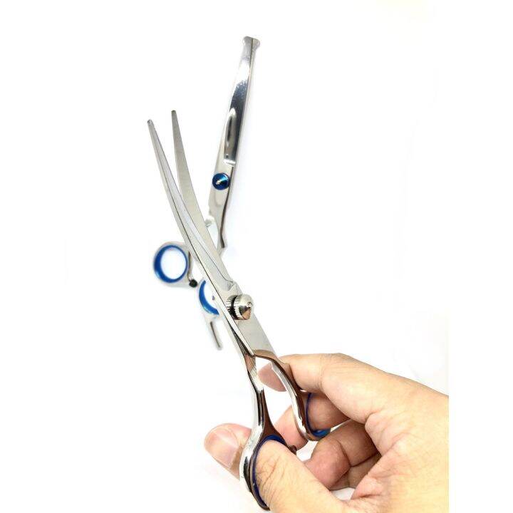 top-paw-scissors-curved-ball-tip-กรรไกรตัดขนสุนัข-ปลายโค้งสแตนเลส-คมมาก-new-package