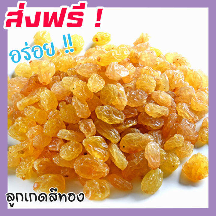 ส่งฟรี-ซื้อ-1-ฟรี-1-ลูกเกดสีทอง-พร้อมทาน-เกรด-a-golden-raisins-คุณภาพดี-ขนาด-100กรัม-ฟรี-100กรัม-ไม่มีส่วนผสมของน้ำตาล-เหมาะสำหรับทุกวัย-premium-quality-products-ลูกเกดสีเหลือง-ลูกเกดเหลือง-เกดเหลือง-