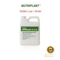 โปรเดือนนี้ 3 แถม 1 นิวทริแพลนท์ เอจี พลัส ปุ๋ยแอมเวย์ บำรุงราก ลำต้น ใบ ดอก ให้แข็งแรง ส่งไว!!