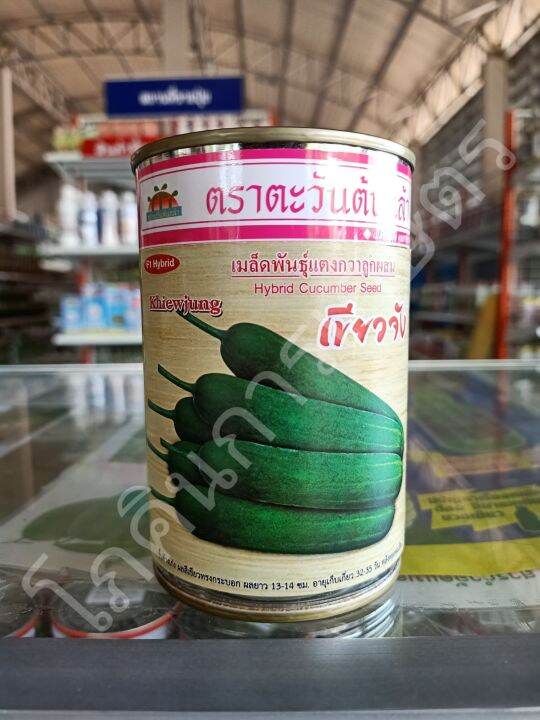 เมล็ดพันธุ์แตงกวาเขียวจัง-ขนาด-100-กรัม