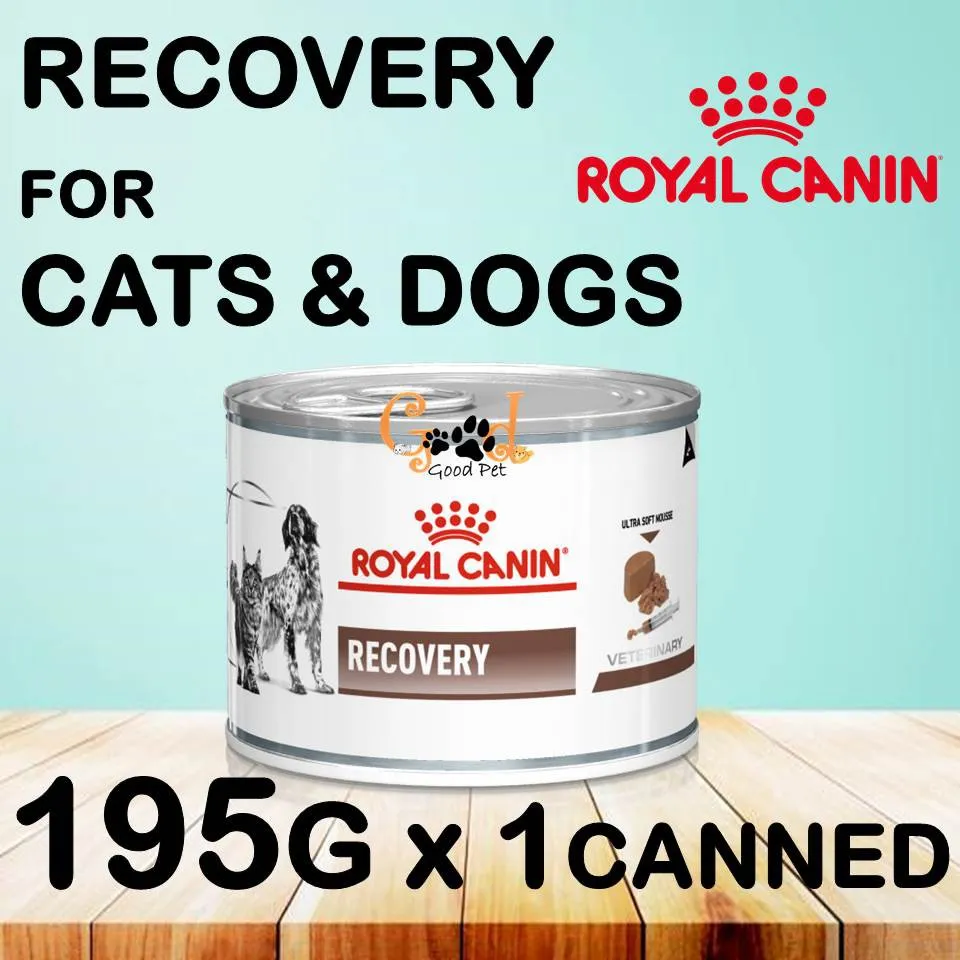 Royal Canin Veterinary Recovery Dog & Cat Mousse (12 x 195 g
