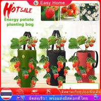 Hanging strawberry planting bag non-woven felt strawberry bare root plant planting container horticultural plant bag