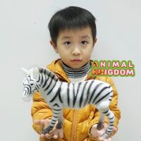 Animal Kingdom - โมเดล Zebra ม้าลาย ขนาด 24.00 CM แบบนิ่ม (จากสงขลา)