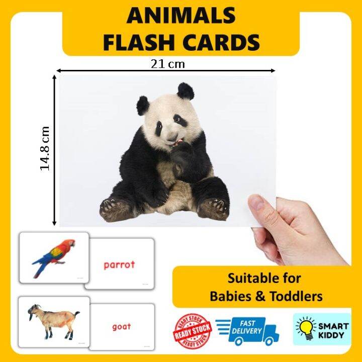 Big Flash Cards ANIMALS Early Learning Flash Cards for Baby Early