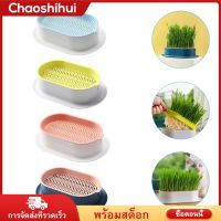 Chaoshihui 4pcs แมวหญ้าชาวไร่ Catnip แมวกล่องหญ้าพืชไฮโดรโปนิกถาดถาดหัด