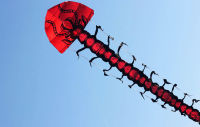 【cw】New Power Large Centipede Kite Perfect for Relaxing of Fun At the Beach - Give It a Try! Good Flying !