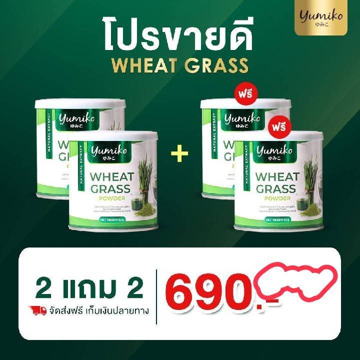 ยูมิโกะ-วีทกราส-พลัส-yumiko-wheat-grass-powder-ยูมิโกะ-วีทกราส-พลัส-ตรา-ยูมิโกะ-ปริมาณ-50-กรัม