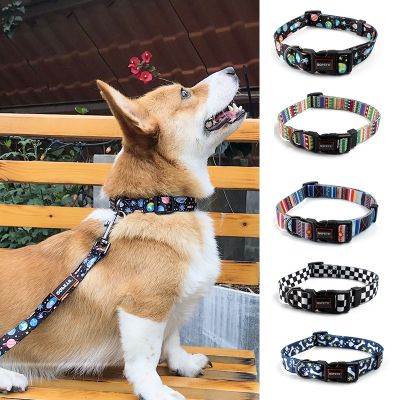 [HOT!] Nylon Dog Collar And Leash Suitable For Small And Medium sized Pitbull Two piece Personality Gradient Color Pet Collar And Leash