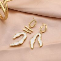 New European Style Metal 925 Silver Needle Earring Womens Personality Simple Party Popular Earrings Trendy Fine Girls Jewelry