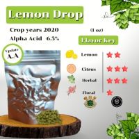 Lemon Drop Hops (1oz) Crop years 2020 (บรรจุด้วยระบบสูญญากาศ)