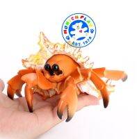 Munich Play - โมเดล Hermit Crab ปูเสฉวน แหลมครีม ขนาด 12.60 CM (จากหาดใหญ่)