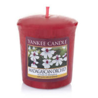 Votive Candle Madaguscan Orchid