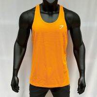 Summer quick-drying vest mens sport fitness waistcoat T-shirt gymshark arrivals from running loose breathable garments