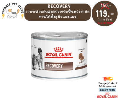 พร้อมส่ง‼️อาหาร Recovery royal canin อาหารสำหรับสุนัข/แมวป่วย หรือพักฟื้นหลังผ่าตัด