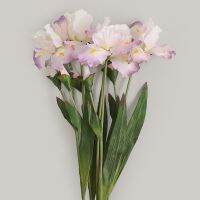 [AYIQ Flower Shop] สาขาเดียวอลิซบ้านห้องนั่งเล่นตกแต่งแบบนิ่มย้อมสีปลอมหน้าต่างไอริสจำลองการสร้างแบบจำลองเค้าโครงอุปกรณ์ประกอบฉากผนังประดิษฐ์