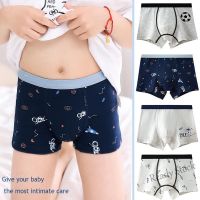 【Ready Stock】 ↂ C22 [PAN]4-Pcs Kids Underwear Boy Boxers Shorts Baby Underwear Pants Childrens Panties Fashion Briefs Cartoon Underpants Kids Printed Wear Boys Shorts