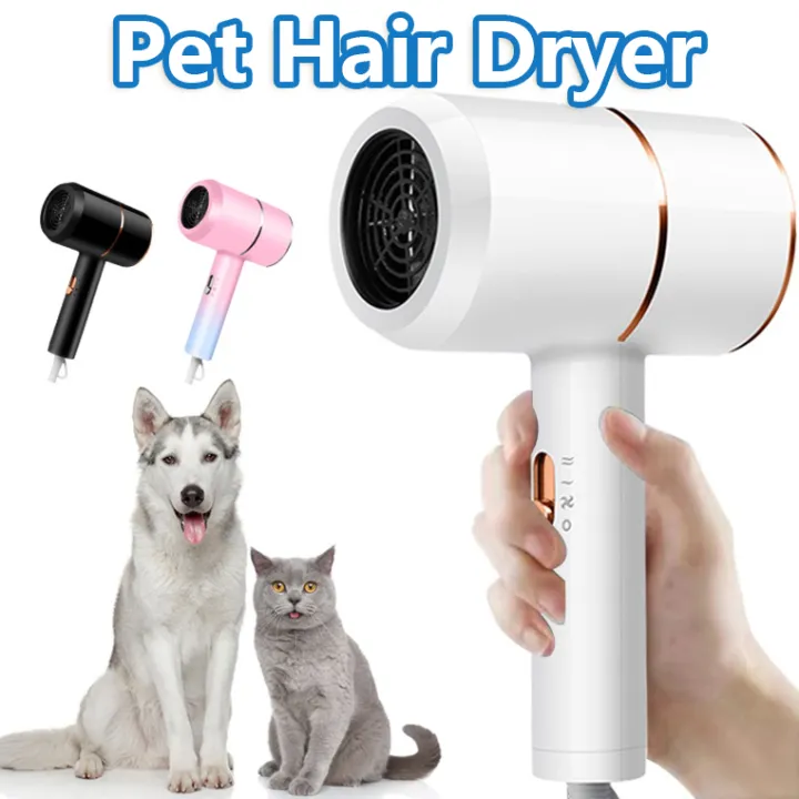 Low-noise hair dryer for Pet Dog/Cat Mini hair Dryer Fast Drying 2800W ...