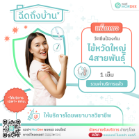 [E-Voucher - เฉพาะ กทม.] แอปฯ หมอดี ฉีดวัคซีนถึงบ้าน - แพ็กเกจวัคซีนป้องกันไข้หวัดใหญ่ 4 สายพันธุ์ - 1 เข็ม