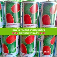 โปรแรง++ แตงโม (กป.) หงส์แดง แชมป์เปลี่ยน หวานฉ่ำ 40g. เมล็ดพันธุ์แตงโม (Exp.10/2023) Yummy!