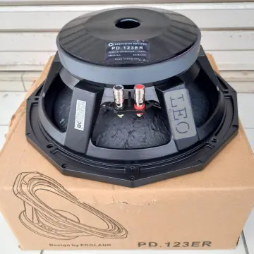 Speaker pd hot sale 10 inch