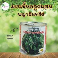 เมล็ดมะระขี้นกลูกผสม พญาอินทรีย์ ขนาด 50 กรัม ตราภูเขาทอง