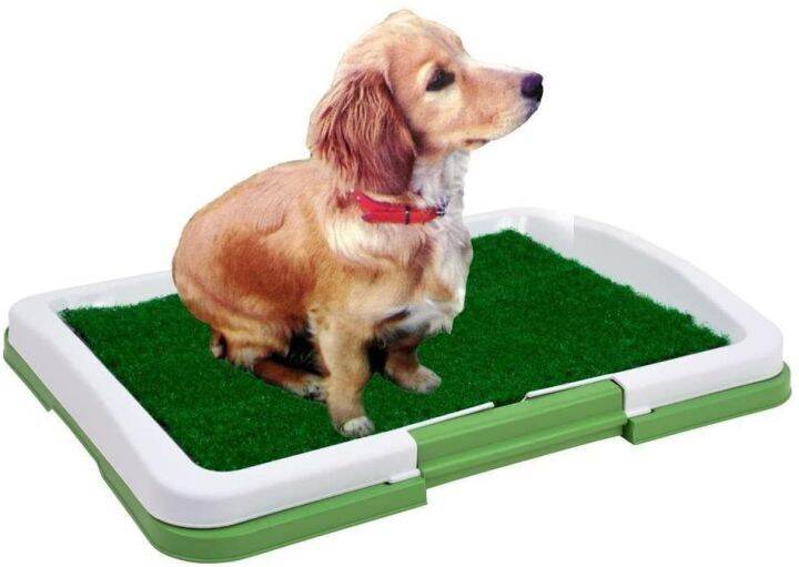BR Artificial Grass Bathroom Mat Collection for Puppies and Small Pets