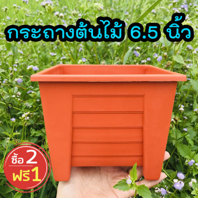 กระถางพลาสติกสีเหลี่ยม 6.5 นิ้ว กระถางต้นไม้ กระถางปลูกผัก เซ็ต 2 ฟรี 1 homes