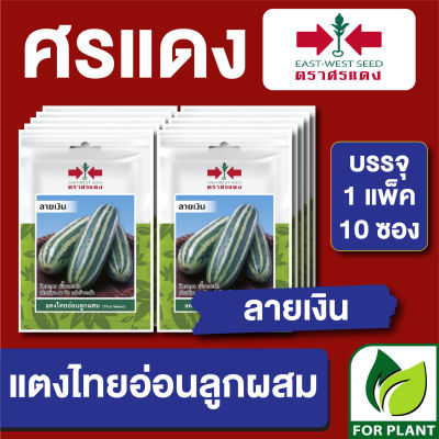 ผักซอง ศรแดง เมล็ดพันธุ์ พันธุ์ผัก แตงไทยอ่อน ลายเงิน บรรจุแพ็คล่ะ 10 ซอง ราคา 70 บาท