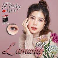 คอนแทคเลนส์ Pitchylens : Mini Lamune มินิ เลนส์เล็ก สีเทา สีน้ำตาล มินิเท่าตา