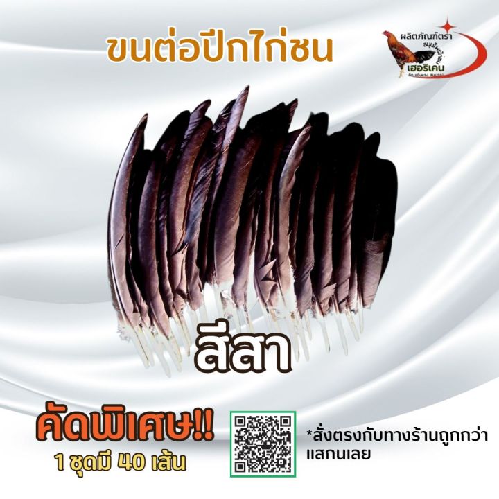 ปีกต่อไก่ชนไม่เปาะ-ปีกแข็งแรง-คัดพิเศษ-ขนต่อปีกไก่ชน-1ชุดมี-40เส้น-ขาว-สา-ดู่-กรด-หม่น-ดอก