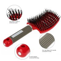 1pcs Detangler Hair Hairbrush Anti Klit Brushy Haarborstel Bristle Scalp Massage Tangle Teaser Comb