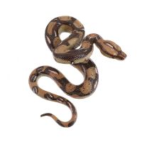 New Product Aldult Toy Realistic Snake Model Scare The Birds Fake Toy Lifelike Child