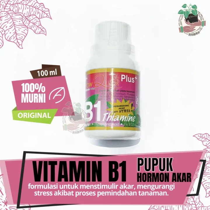 Vitamin B1 Tanaman Anti Stress Perangsang Akar Daun Bunga Penumbuh ...