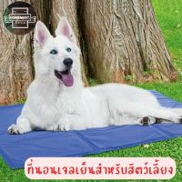 Homemart.shop- Pet Cool Mat ที่นอนเจลเย็นสำหรับสัตว์เลี้ยง แผ่นเจลเย็น แผ่นระบายความร้อน