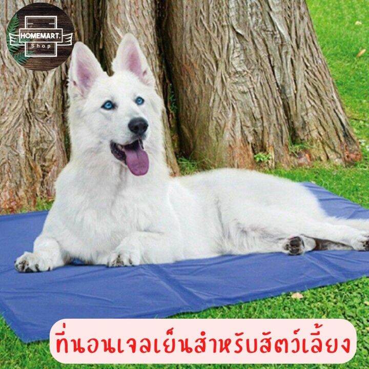 homemart-shop-pet-cool-mat-ที่นอนเจลเย็นสำหรับสัตว์เลี้ยง-แผ่นเจลเย็น-แผ่นระบายความร้อน