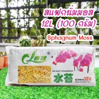 Spagmoss สแฟกนั่มมอส เกรดคุณภาพสูงนำเข้า 100กรัม ราคาถูก