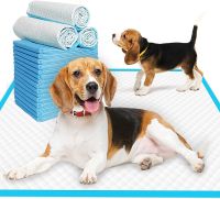 Super Absorbent Diaper Dog Training Pee Pads Healthy Nappy Mat สำหรับแมวผ้าอ้อมสุนัข Quick-Dry Surface Mat