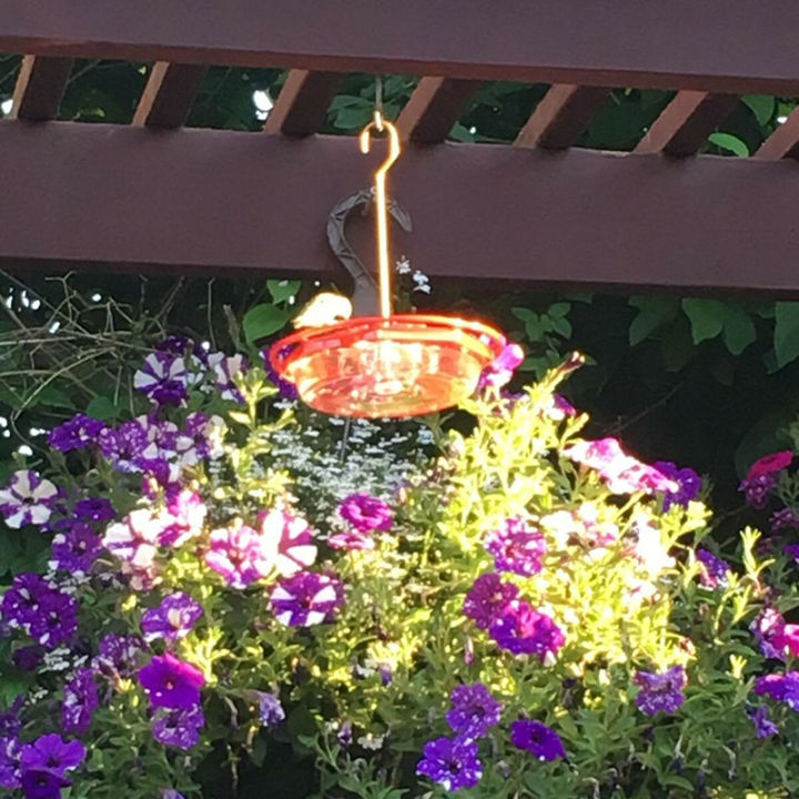 courtyard-bird-feeders-สวนแขวน-hummingbird-feeders-ดื่มถ้วยกลางแจ้งสัตว์เครื่องจ่ายอาหาร-bird-products