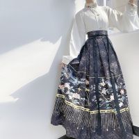 【CW】 New Improved Hanfu sleeved Shirt Chinese Traitional Pleated Skirt